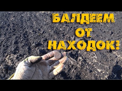 Видео: Жетон Временного правительства!.. Царское серебро!.. Коп монет в Воронежской области Фильм 4е