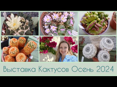 Видео: Выставка Кактусов Греческого клуба🌵Осень 2024🍂