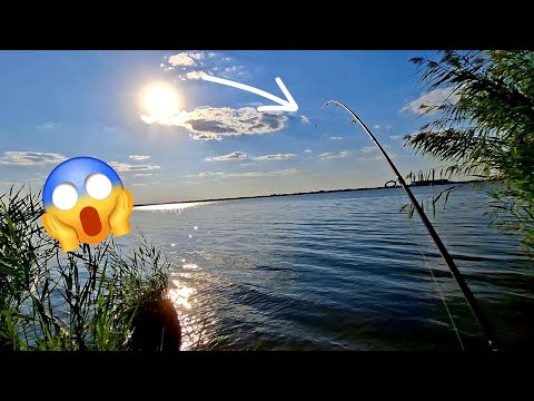 Видео: «Ловлю на силикон — и сразу ТАКОЙ окунь!»
