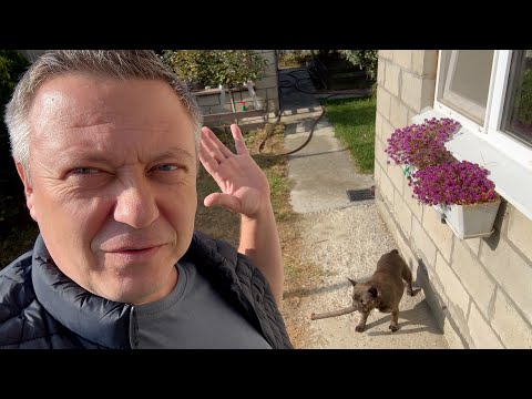 Видео: сегодняшние ХЛОПОТЫ во дворе под МАСИНО чавканье