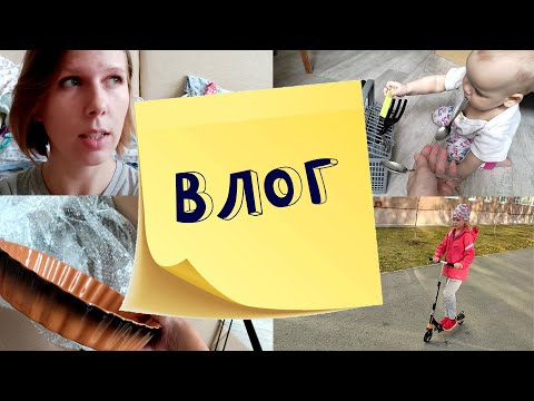 Видео: Влог про самокат, одежду до полугода и годовщину свадьбы