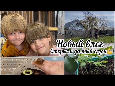 Видео: Новый влог🌿дачный сезон💪
