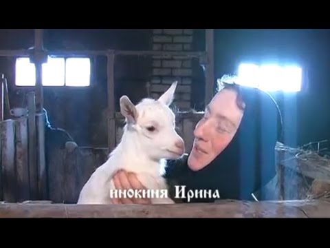 Видео: Обитель веры и добра