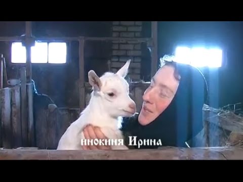 Видео: Обитель веры и добра