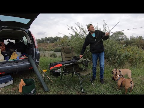Видео: Я В ШОКЕ ОТ ЭТОЙ РЫБАЛКИ Отдых на озере с нашей СОБАЧЬЕЙ БАНДОЙ