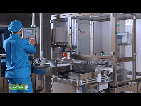 Видео: Отандық ғалымдар күйік шалғандарды емдеуге арналған препарат әзірлеп жатыр | Экосана