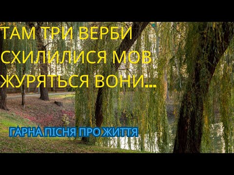 Видео: Три верби. Стоїть гора високая. Пісня про життя.