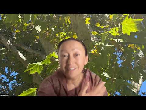 Видео: Американский Платан. Его энергия и практика.