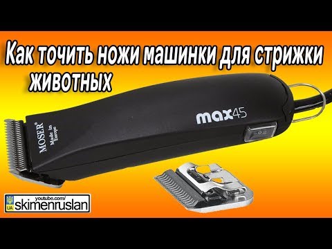 Видео: Как точить ножи машинки для стрижки животных