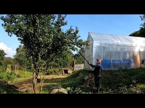 Видео: Территория всё больше, а времени всё меньше