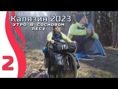 Видео: Серия 2.  Велопоход Углич - Калязин апрель 2023.  Утро в сосновом лесу на берегу Волги.