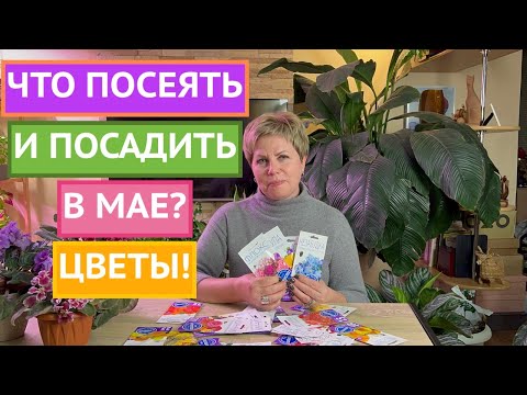 Видео: ЦВЕТЫ, КОТОРЫЕ МОЖНО ПОСЕЯТЬ В МАЕ!