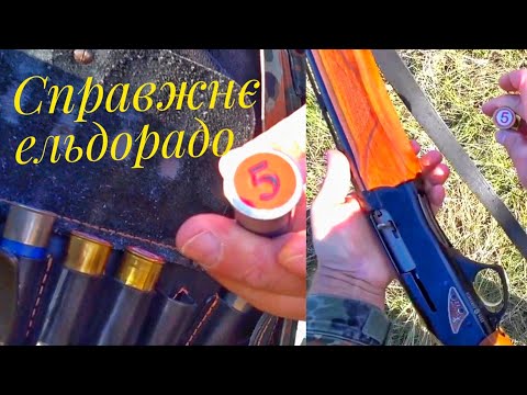 Видео: Открытие сезона охоты на фазана. Наткнулись с товарищем, на настоящий утиный рай, для охотников.