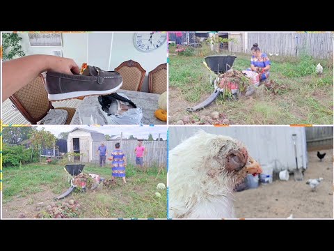 Видео: ЦЕЛЫЙ ДЕНЬ КАК БЕЛКА В КОЛЕСЕ. ЗАБОЛЕЛ ЦЫПЛЁНОК. 