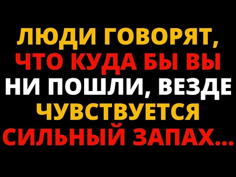 Видео: ЛЮДИ ГОВОРЯТ, ЧТО КУДА БЫ ВЫ НИ ПОШЛИ, ВЕЗДЕ ЧУВСТВУЕТСЯ СИЛЬНЫЙ ЗАПАХ