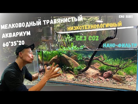 Видео: МЕЛКОВОДНЫЙ ТРАВЯНИСТЫЙ АКВАРИУМ | SHALLOW GRASS AQUARIUM