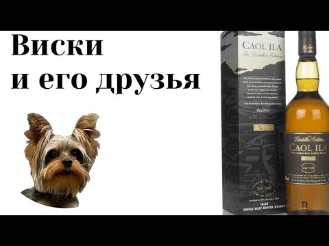 Видео: Дегустация Caol Ila 2004 Moscatel Cask Finish Distillers Edition. Дегустация дыма 34