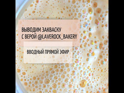Видео: Открытый марафон по выведению закваски от @laverock_bakery. Первый прямой эфир