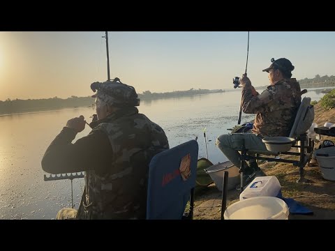 Видео: Рыбалка на Сырдарье. Рыбалка на границе с Казахстаном.