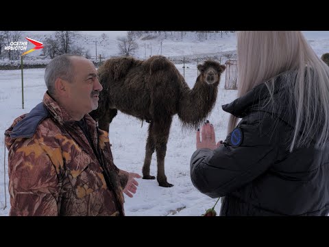 Видео: Зильги I Вокзал для двоих