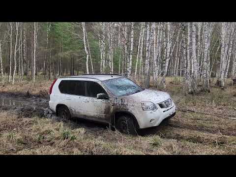 Видео: Офф роад броды Suzuki Jimmy и ниссан экстрейл
