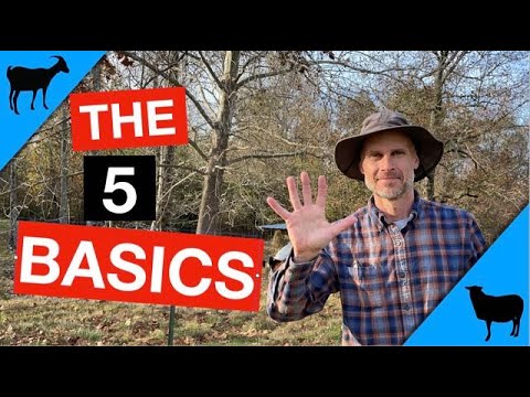 Видео: 5 вещей, которые должны быть у коз и овец