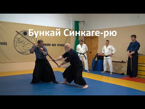 Видео: Бункай элементов форм Синкаге-рю с использованием доспеха и без него. Востросаблин Александр.