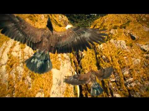 Видео: Мельница- Дракон. Клип.