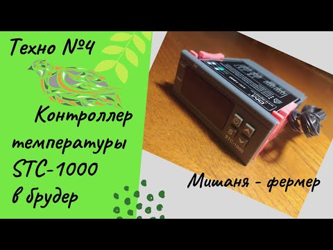 Видео: Терморегулятор для брудера. Контроллер температуры STC-1000. #STC1000 #терморегулятор #брудер