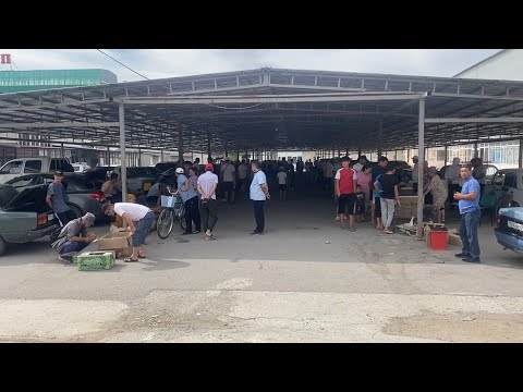 Видео: Туркестан Тауық базар 25.06.2023 Қораз Уйрек Үндік Қазы Құс Кептер