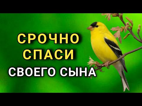 Видео: Повторите эту молитву и ваш СЫН будет под защитой! Лучшие молитвы, слушать минимум один раз в день 🤲