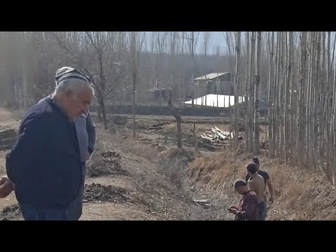 Видео: ХАШАР ДАР ШАХАРЧАИ ТУЛ .