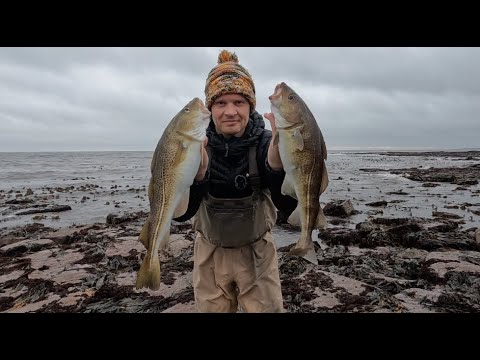 Видео: Ловля трески на северо-востоке | Ловля трески днём | Нортумберленд