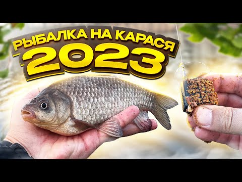 Видео: КУБАНСКИЕ КАРАСИ ГНУТ ФИДЕР! Весенняя рыбалка на карася 2023