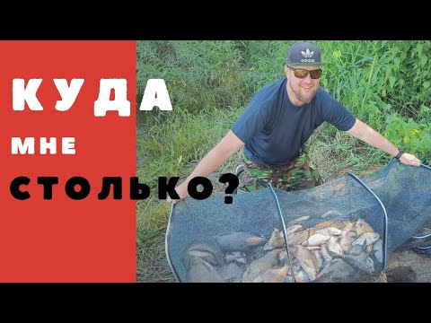 Видео: Руки устали таскать, в этой яме полно рыбы Фидерная рыбалка на реке Как ловить леща