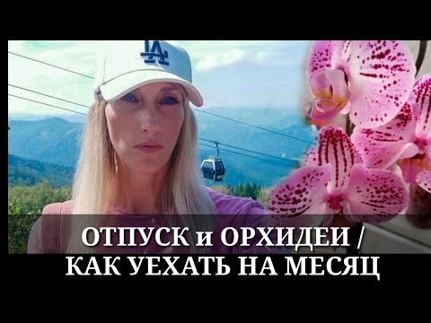 Видео: КАК УЕХАТЬ В ОТПУСК НА 2-4 НЕДЕЛИ, ОСТАВИТЬ ОРХИДЕИ / ПОЛИВ для ленивых