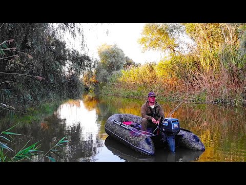Видео: ЗАБРАЛСЯ В НЕРЕАЛЬНУЮ ДИЧЬ!!! РЫБАЛКА В САМЫХ ДИКИХ МЕСТАХ!