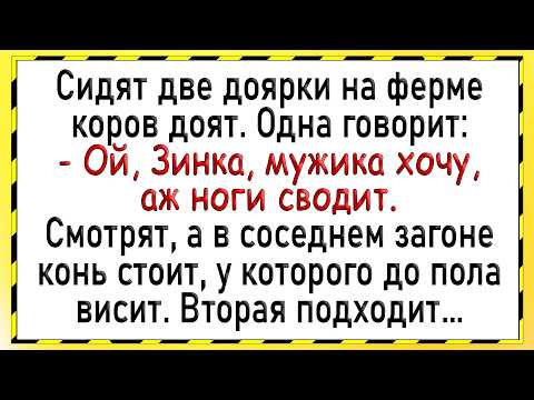 Видео: Как две доярки с конем развлекались! Сборник свежих анекдотов! Юмор!