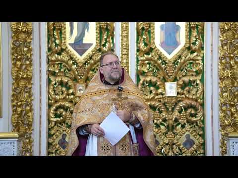 Видео: Царствие Божие УЖЕ пришло, или еще НЕТ