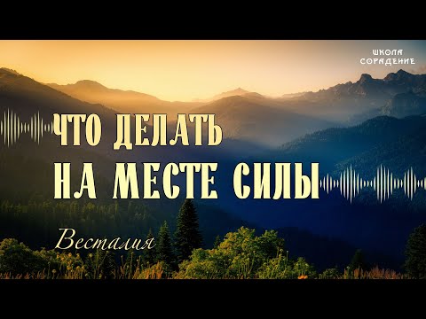 Видео: Что делать на местах силы #Весталия #школаСорадение