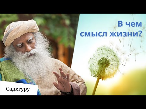 Видео: Существует ли высшая, данная Богом, цель жизни?