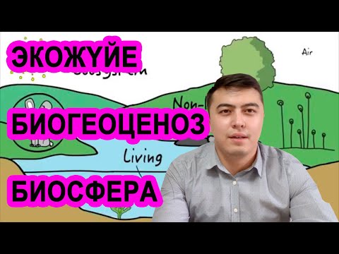 Видео: экожүйе (экосистема), биогеоценоз, биосфера