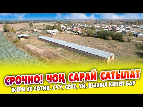 Видео: Шарты жакшы чрң САРАЙ сатылат ~ Жашаганга үйү, суу, свети бар. Жери 60 сотик. Кызыл китеби менен