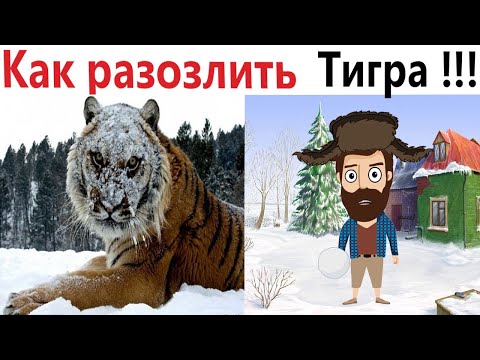 Видео: ПРИКОЛЫ! КАК РАЗОЗЛИТЬ ТИГРА!!! УГАРНЫ МЕМЫ от Доми шоу