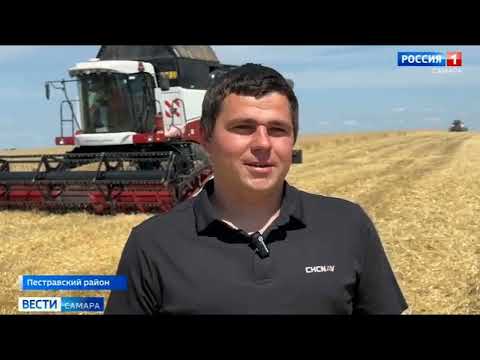 Видео: ПЕРВЫЕ В ОБЛАСТИ НАЧАЛИ УБОРОЧНУЮ 2025. ПОПАЛИ НА ТЕЛЕВИДЕНИЕ. УРОЖАЙНОСТЬ ОЗИМОЙ ПШЕНИЦЫ 2025