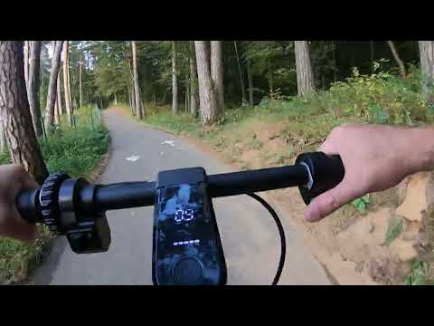 Видео: Гродно глазами самокатчика. Лесной парк Пышки