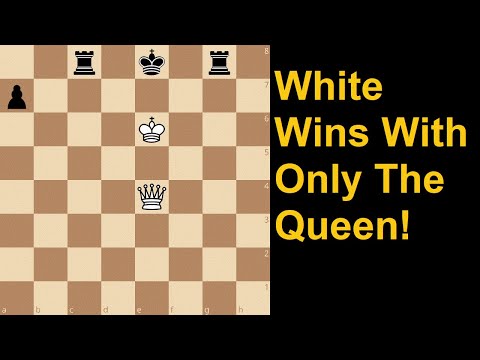 Видео: У белых блестящая победа!