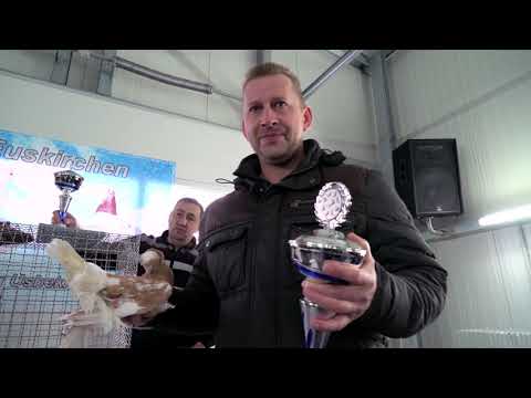 Видео: Выставка Узбекских Голубей в Германии