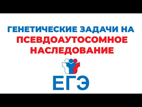 Видео: ПСЕВДОАУТОСОМНЫЕ УЧАСТКИ ЕГЭ БИОЛОГИЯ
