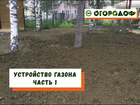 Видео: Что нужно знать при организации газона. Часть 1